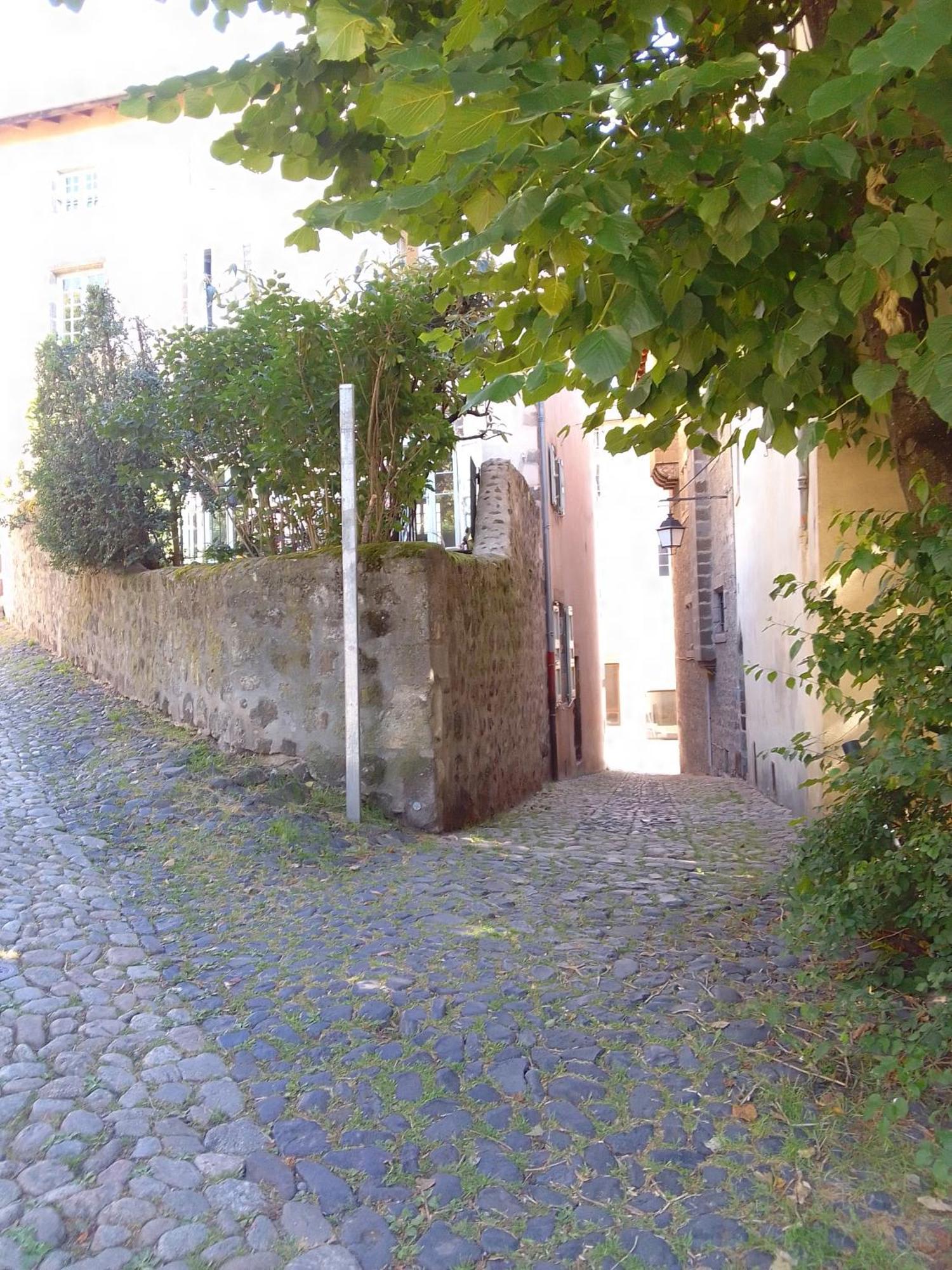 Le Relax Max Leilighet Le Puy-en-Velay Rom bilde